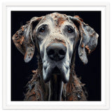 Old Dog 04 thumbnail
