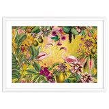 Flamingo Island thumbnail