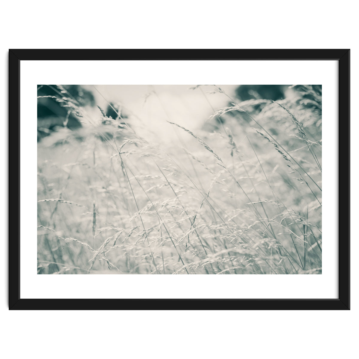 Walking Through Long Grass