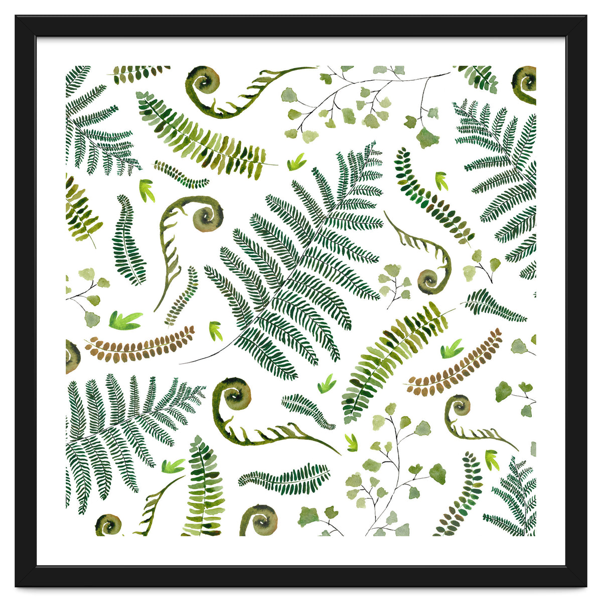 Spring Fern Pattern