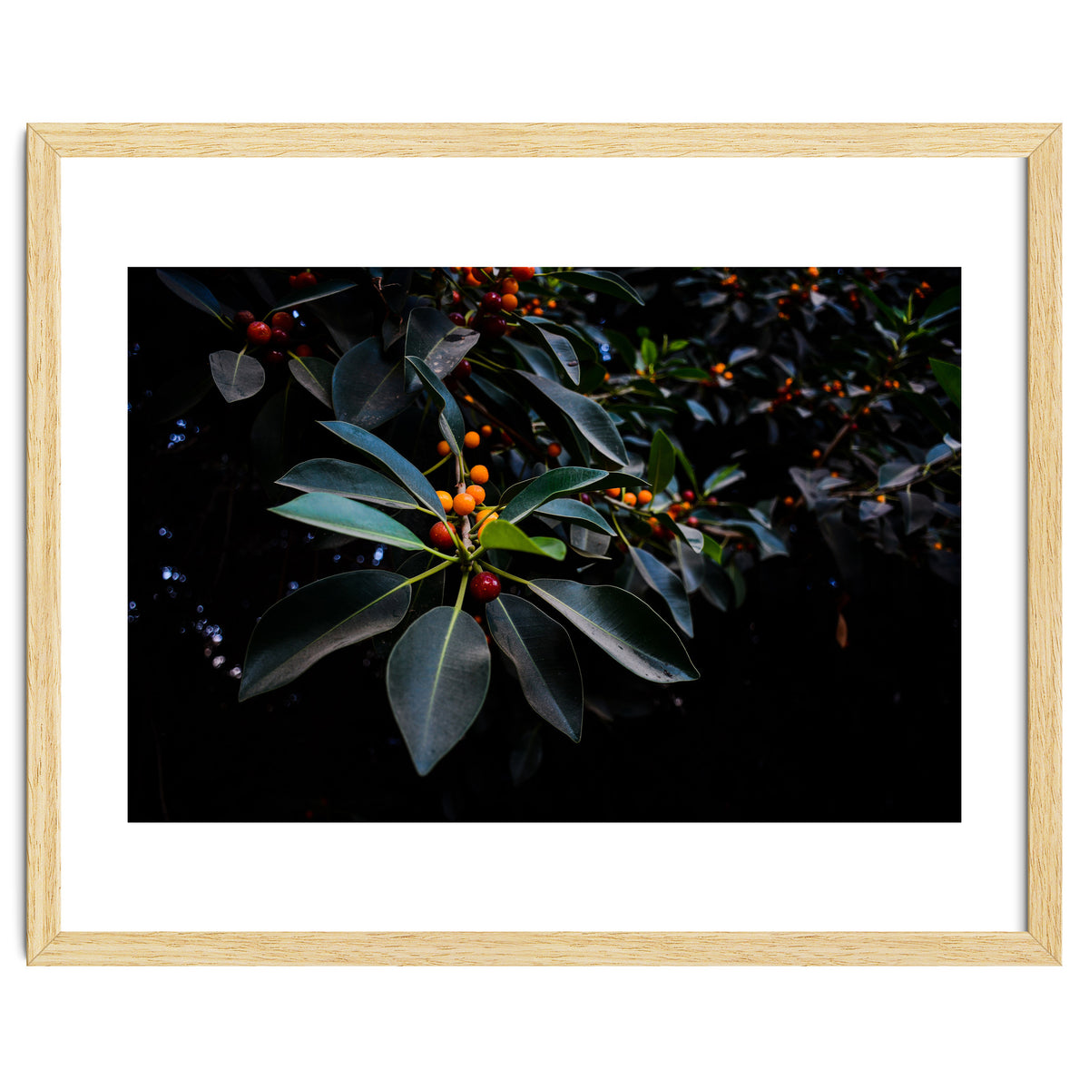 Orange, Green and Dark