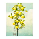Lemon Tree  (Print Only) thumbnail