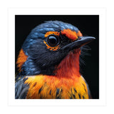 Vibrant Bird With Orange And Blue Plumage (Print Only) thumbnail