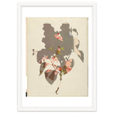 The First Plant · M2 thumbnail