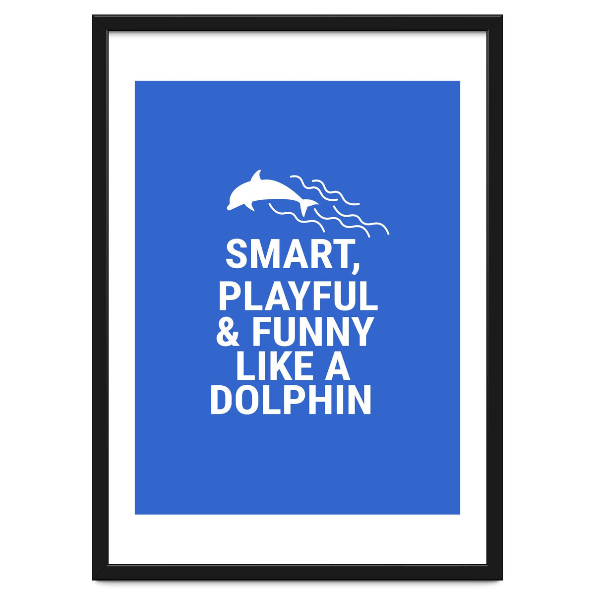 Smart, playful and funny like a dolphin