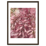Pink Blossom thumbnail