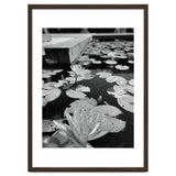 Lotus Pond | Black & White Portrait thumbnail