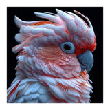 Pink Cockatoo Parrot Close Up Portrait Feather  (Print Only) thumbnail