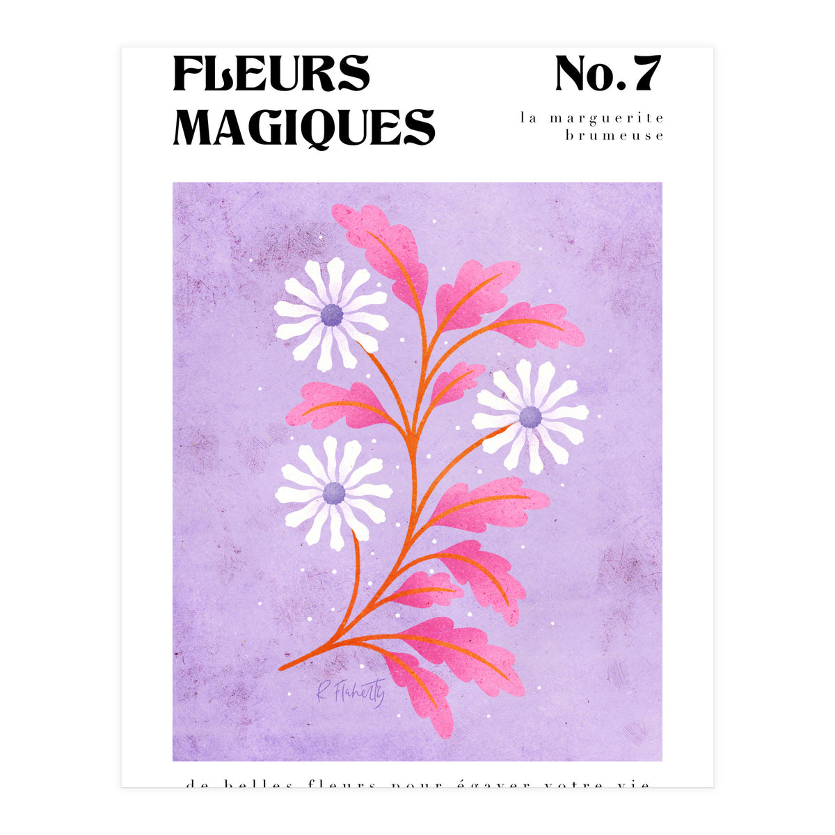 Magical Flowers No.7 Hazy Daisy (Print Only)