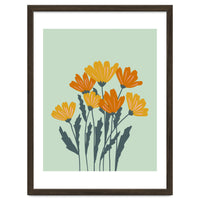 Orange and Yellow Flowers