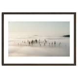 Misty Peaks: Pine Forest Above the Clouds thumbnail