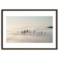 Misty Peaks: Pine Forest Above the Clouds
