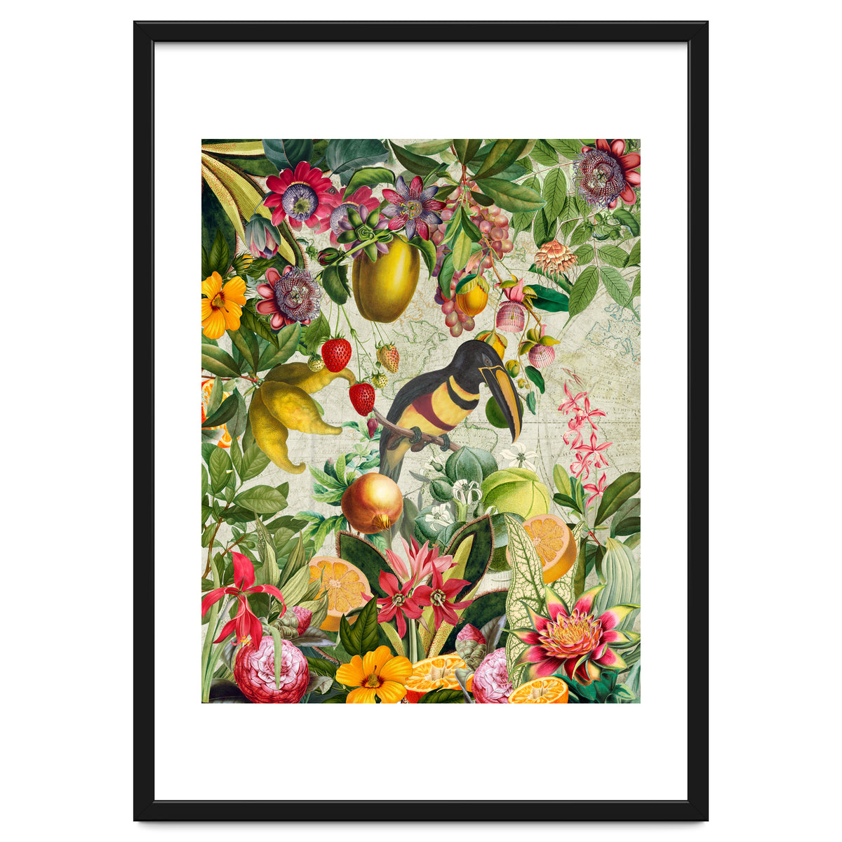 Toucan vintage jungle