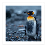 King Penguin Standing In The Rain (Print Only) thumbnail