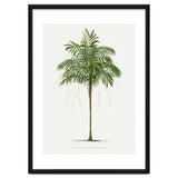Oswald de Kerchove de Denterghem – Vintage Palm Tree Illustration (1878) thumbnail
