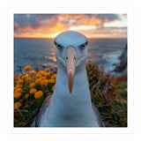 Albatross Bird With Intense Gaze By The Sea (Print Only) thumbnail