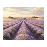 Provençal Sunset: Lavender Field Landscape (Print Only) thumbnail