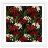 Red and White Spider Lily Flower Print Elegant Botanical Japanese Inspired Floral Artwork thumbnail