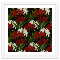 Red and White Spider Lily Flower Print Elegant Botanical Japanese Inspired Floral Artwork