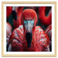 Close Up Flamingo Head With Bright Red Feathers