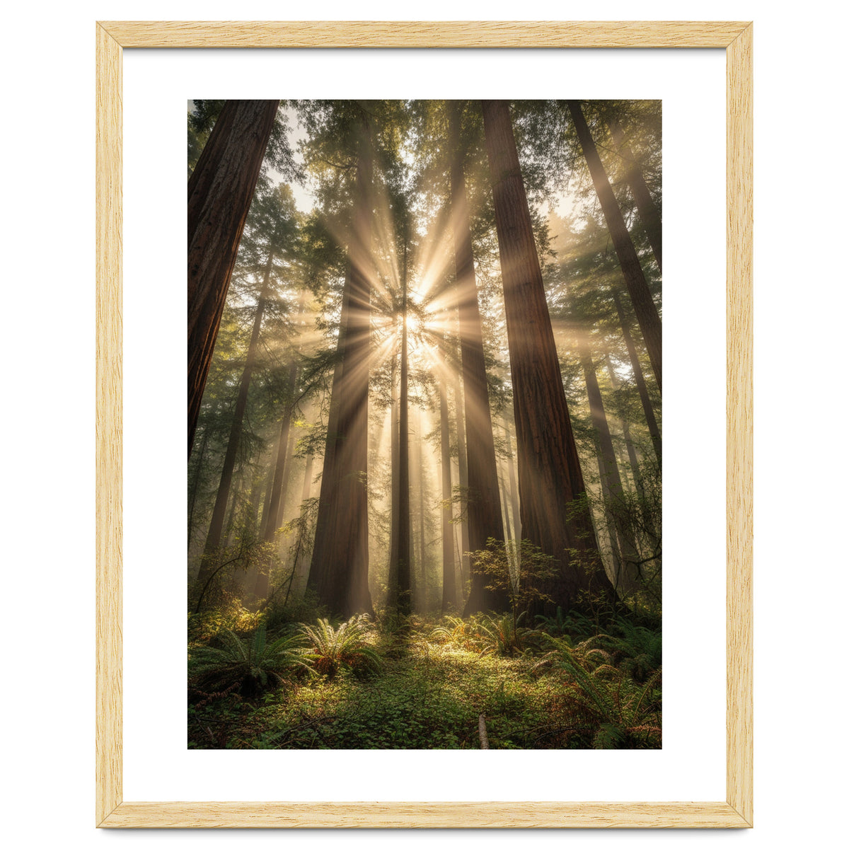 Ethereal Redwood Sanctuary: Sunbeams in the Ancient Forest