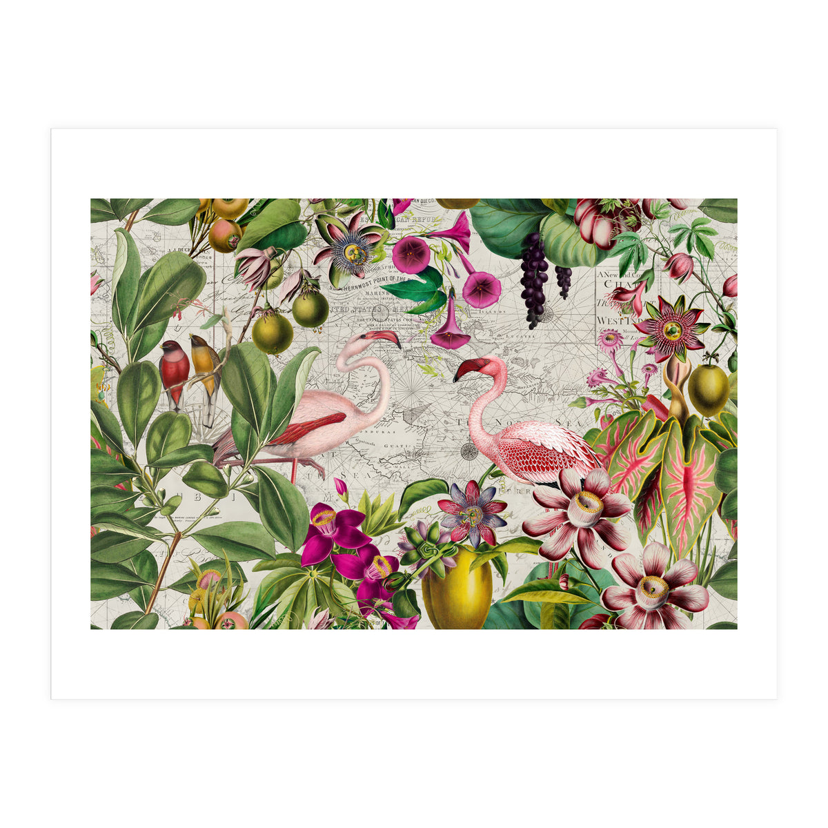 Flamingo Island 2 (Print Only)