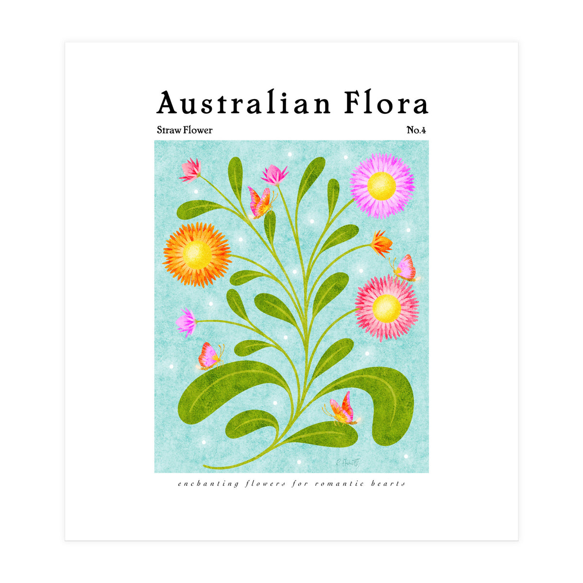 Australian Flora: Straw Flower (Print Only)