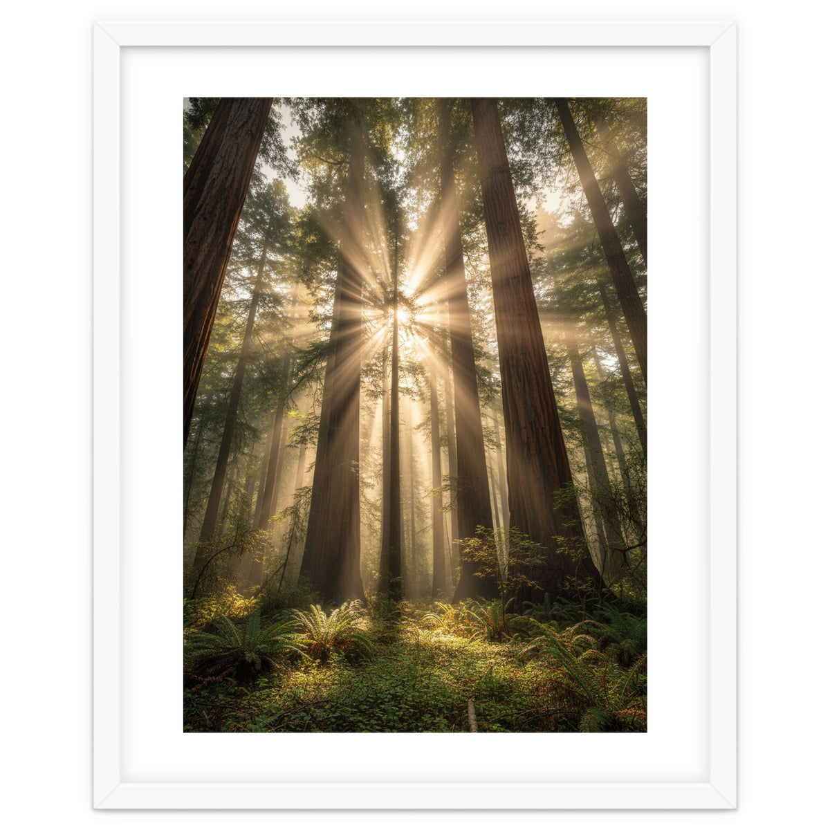 Ethereal Redwood Sanctuary: Sunbeams in the Ancient Forest