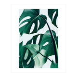 Monstera Tropical Photography Digital Art, Minimal Nature Jungle Botanical Leaves (Print Only) thumbnail
