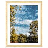 Autumn Evening thumbnail