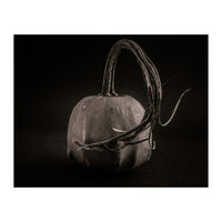 Gourds No 14 (Print Only)