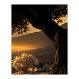The Hill (Print Only) thumbnail