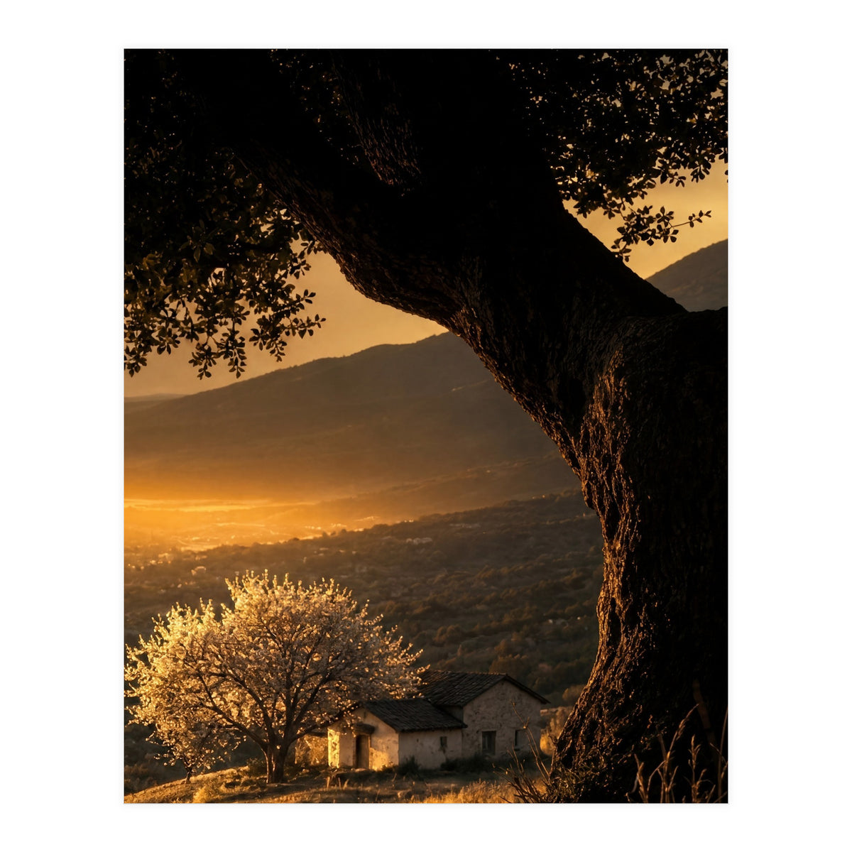 The Hill (Print Only)