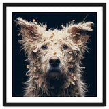 Old Dog 06 thumbnail