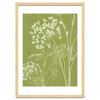 Wildflowers III