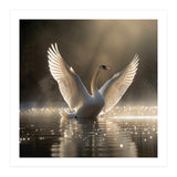 Graceful Swan Spreading Wings On Sparkling Water (Print Only) thumbnail