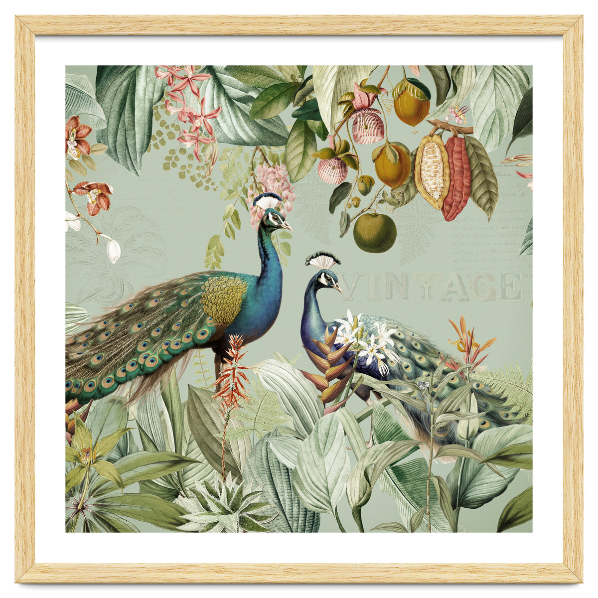 Vintage Exotic Asian Peacocks In Tropical Jungle Landscape