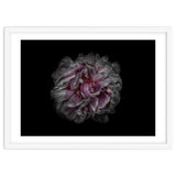 Backyard Flowers No 118 Color Version thumbnail