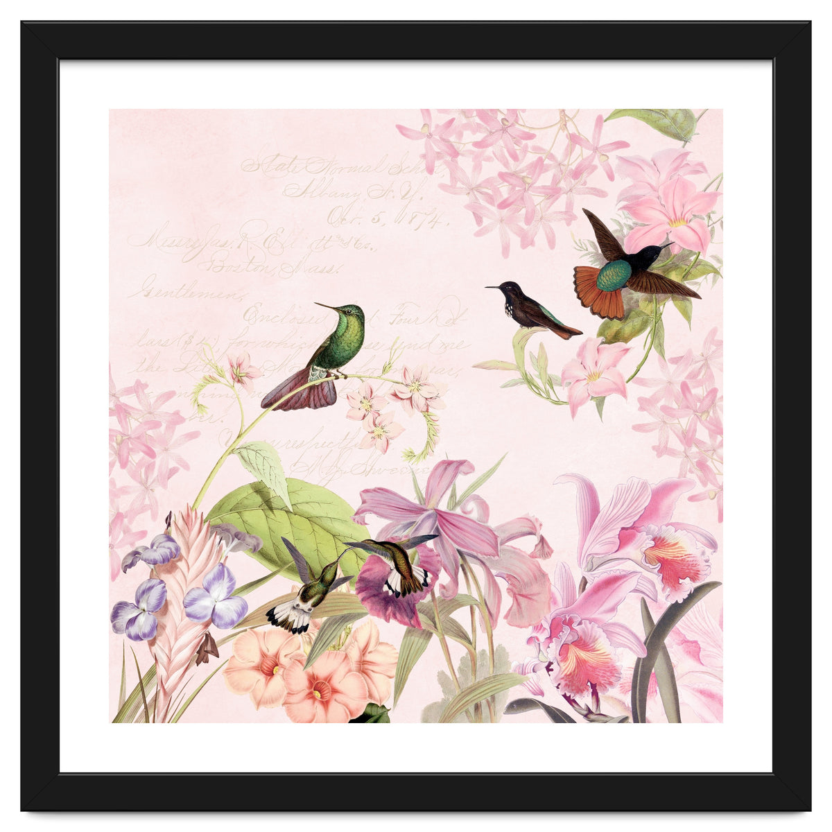 Hummingbirds in Flower Jungle