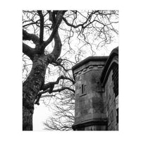 Stark Contrast (Print Only)