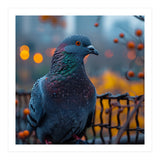 Pigeon With Water Droplets  (Print Only) thumbnail