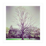 Tree Of Dreams (Print Only) thumbnail