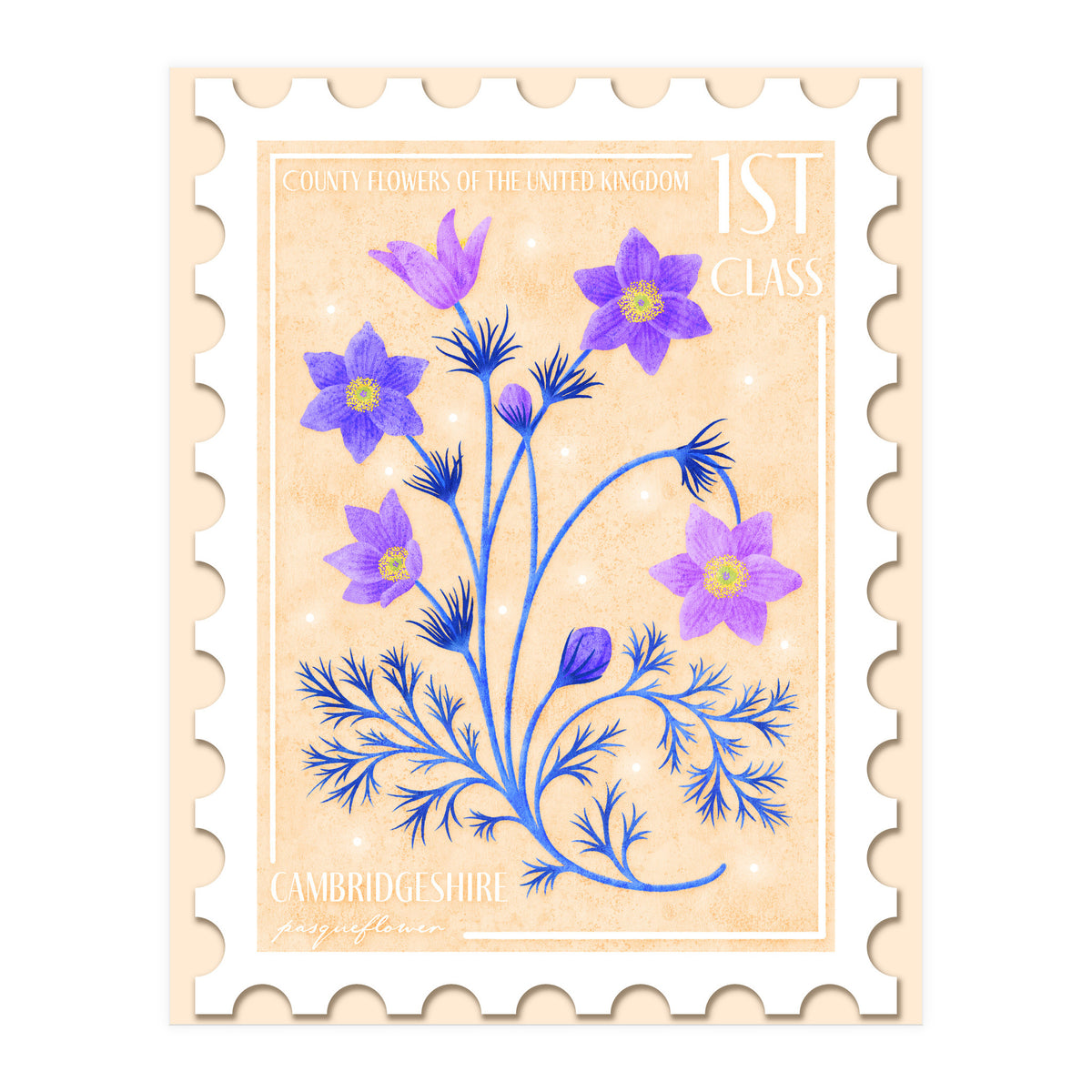 The Cambridgeshire Pasqueflower Postage Stamp (Print Only)