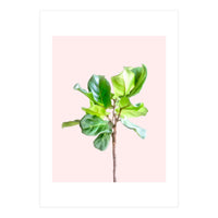 Intimate Energy, Blush Pastel Botanical Plant Minimal Painting, Pink Green Nature (Print Only)