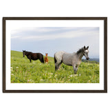 Equine Family thumbnail