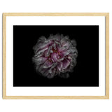 Backyard Flowers No 118 Color Version thumbnail