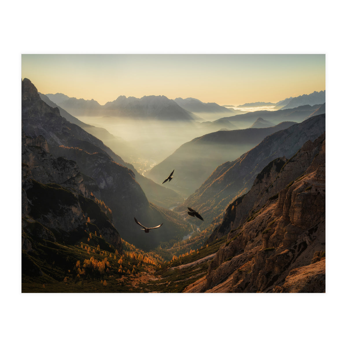 Fly away (Print Only)