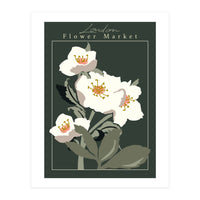 Flower Market London Hellebore (Print Only)