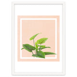 Botanical Art thumbnail