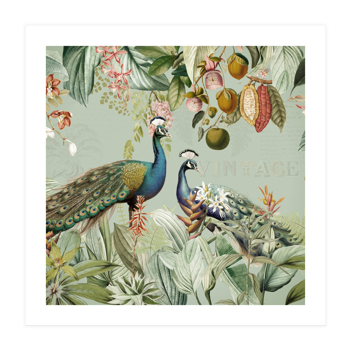 Vintage Exotic Asian Peacocks In Tropical Jungle Landscape (Print Only)
